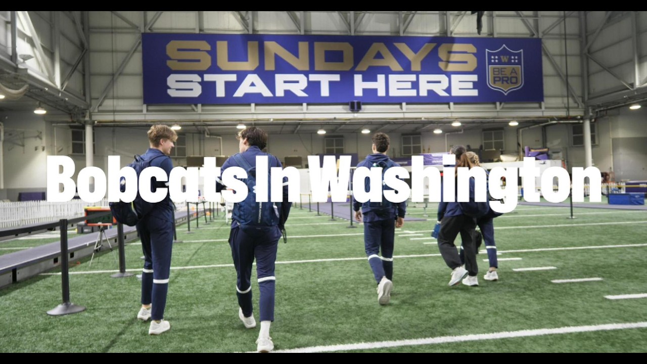Bobcats In Washington