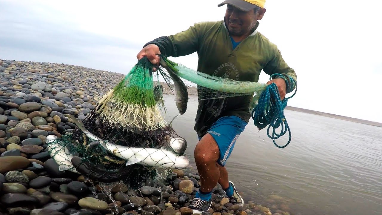 Море и река объединяют усилия, чтобы подарить вам рыбалку, полную сюрпризов