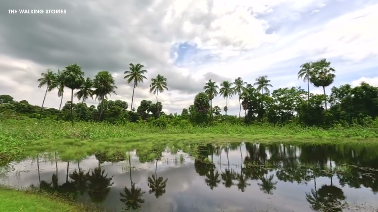 Walking tour |  Village walktour in India | Muthalamada | Kerala State | South India | India