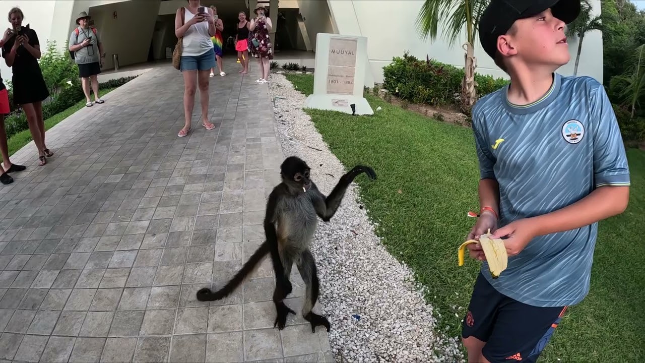 Grand Sirenis, Riviera Maya, Part Three #grandsirenis #rivieramaya #mexico #holiday