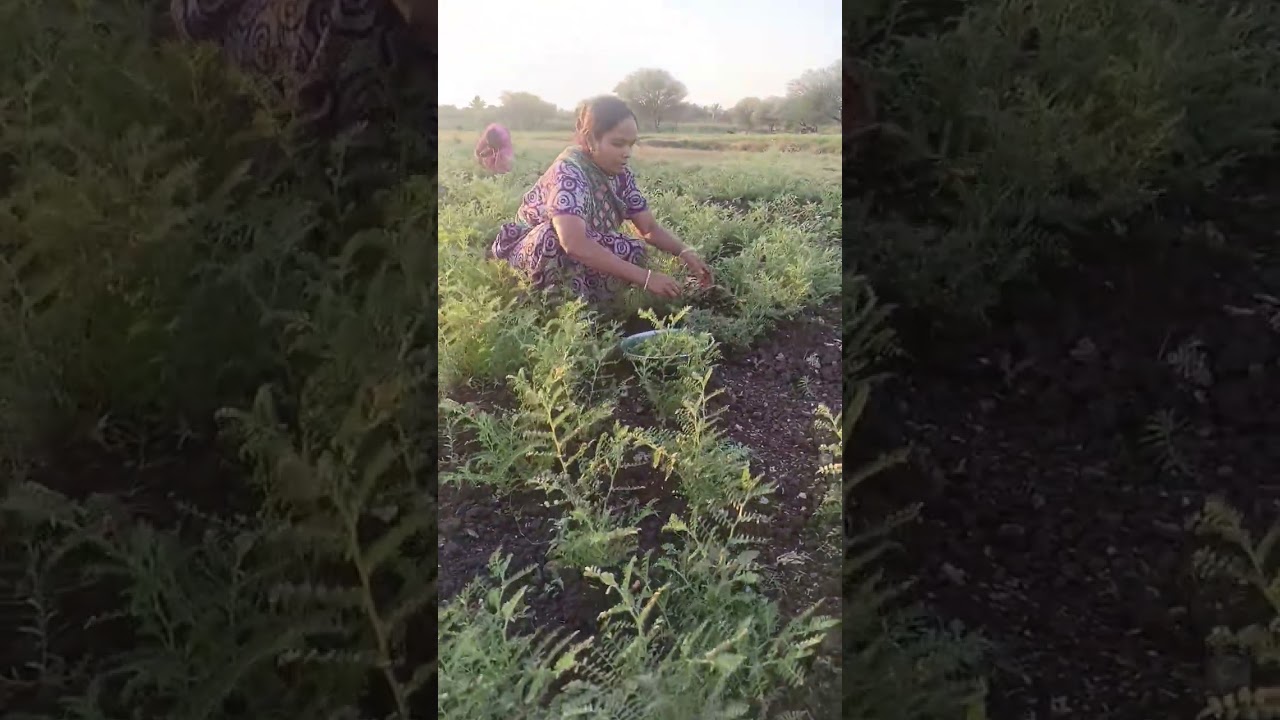 A hint is enough for those who understand 🌱🐵 #viralvideo #farming