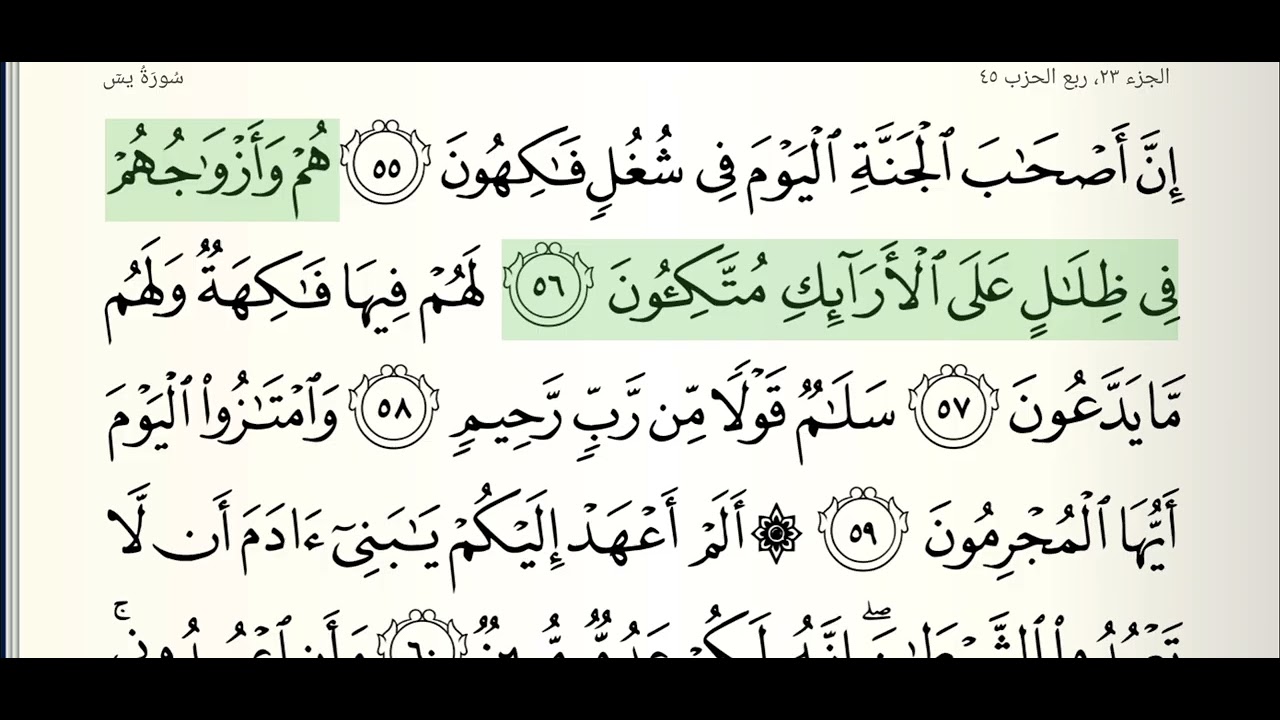 سورة يس بصوت الشيخ بدر التركي | Surah Yasin recited by Sheikh Badr Al-Turki