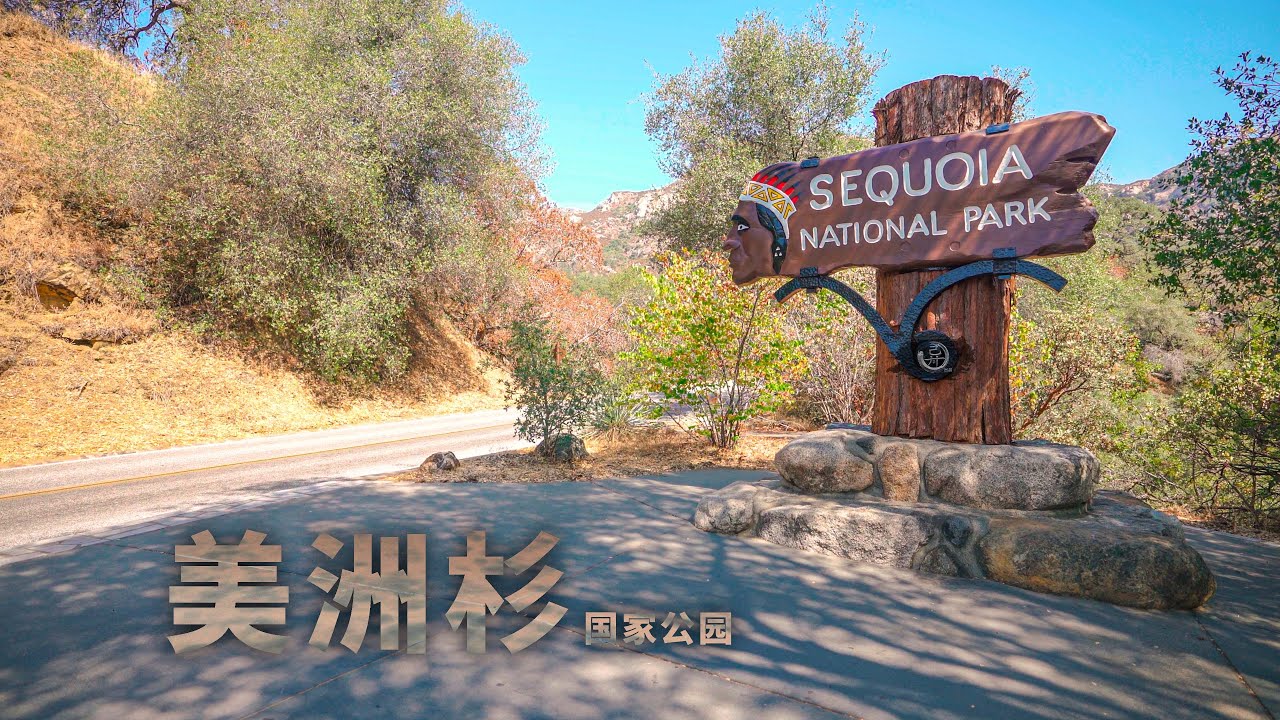 自驾美国加州美洲杉国家公园Sequoia National Park California世界体积最大谢尔曼将军树General Sherman Tree Road Trip in USA 4K