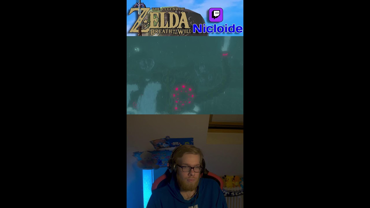BOTW Hater spielt the legend of zelda breath of the wild short