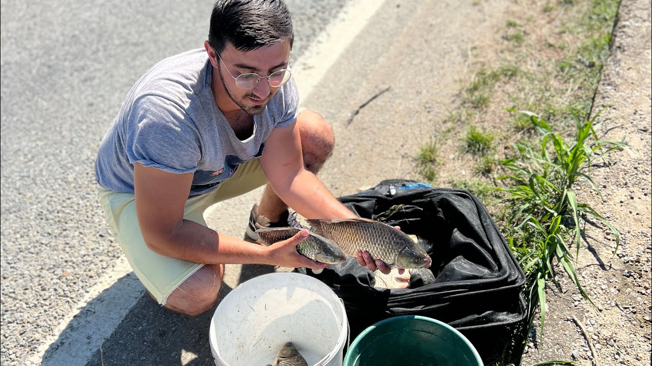 Carași URIAȘI la foc automat. Unul după altul. Pescuit la METHOD 30.06.2023
