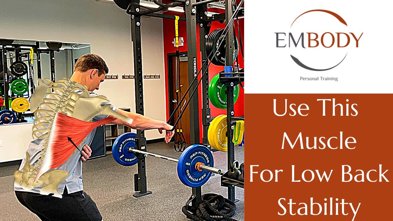 Using The latissimus dorsi for Low Back and Spine Stability | Core Stability With The Lats