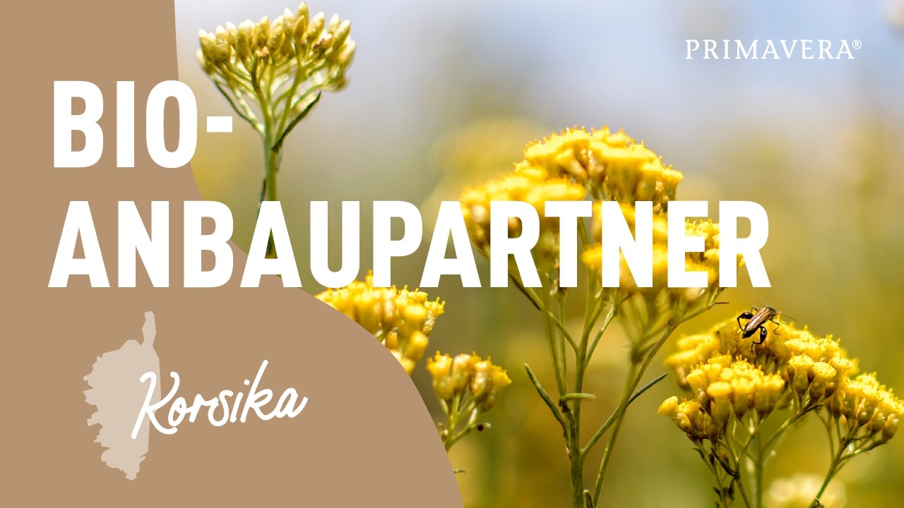PRIMAVERA Bio-Anbaupartner Korsika
