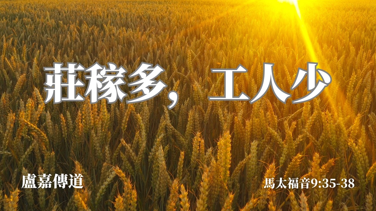 【國語】莊稼多，工人少｜馬太福音9: 35-38｜盧嘉傳道