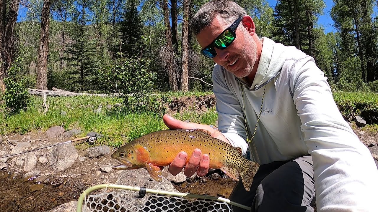 Fly Fishing Southern Colorado (part 5 in the series)