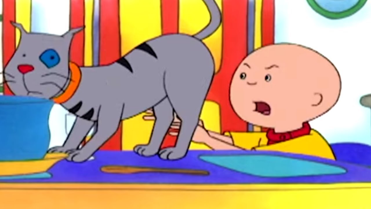 Caillou e il Gatto in Cucina | Caillou Italiano - WildBrain