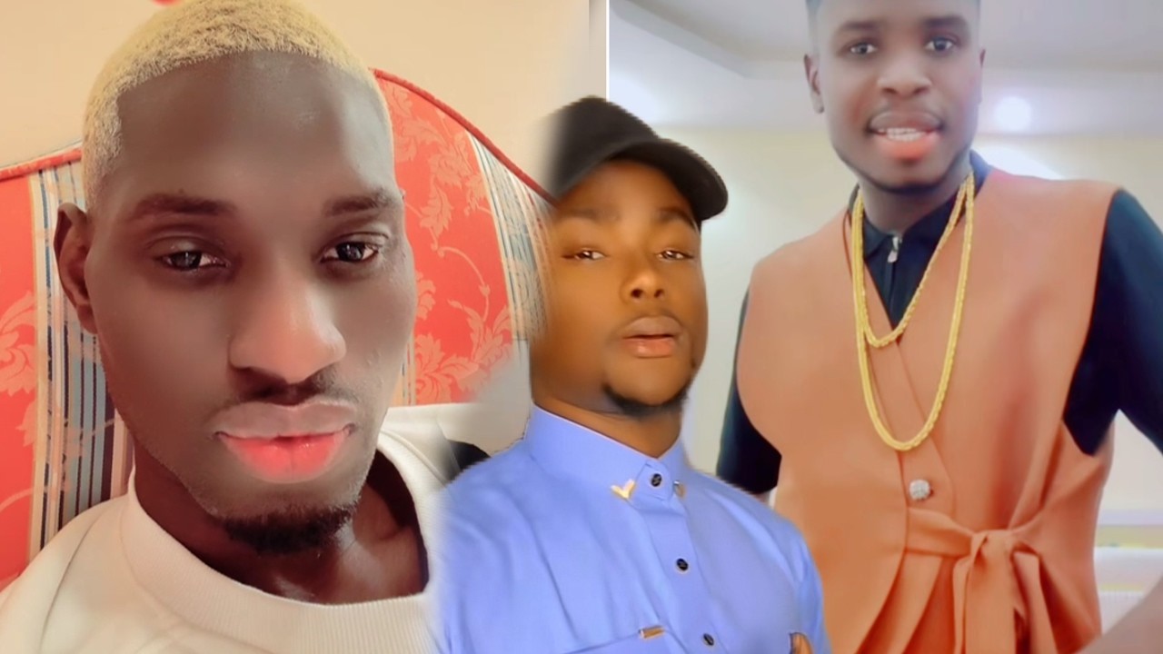 Live Adamo cas Pape Cheikh Loucii Bess