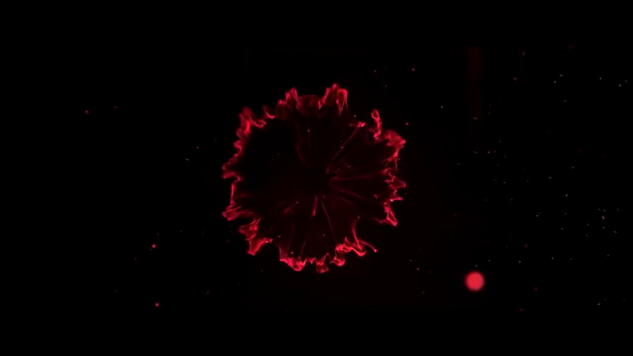 💎Moje intro [CookiesTV]💎