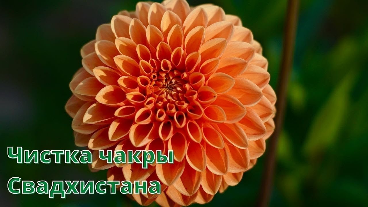 РИТУАЛ-ЧИСТКА ВТОРОЙ ЧАКРЫ - СВАДХИСТАНА💥💯🌹