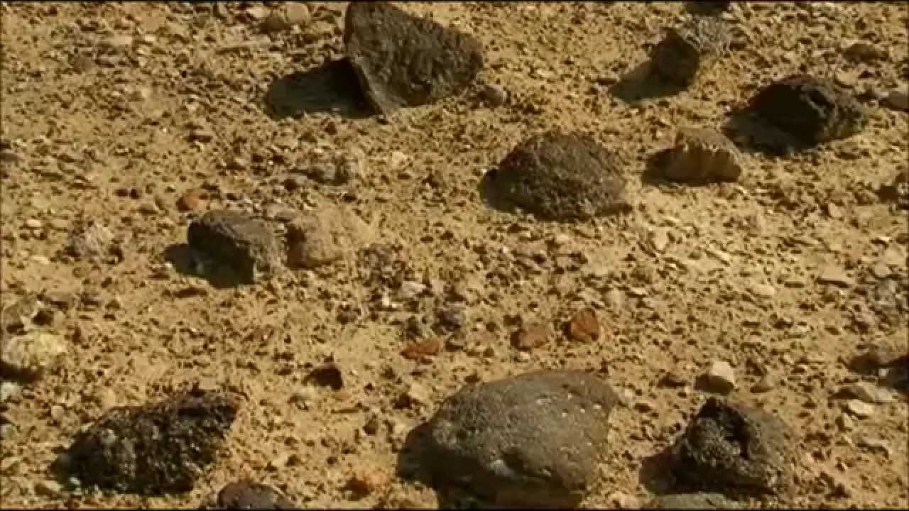 Altertum (Abraham - Stammvater der Religionen)