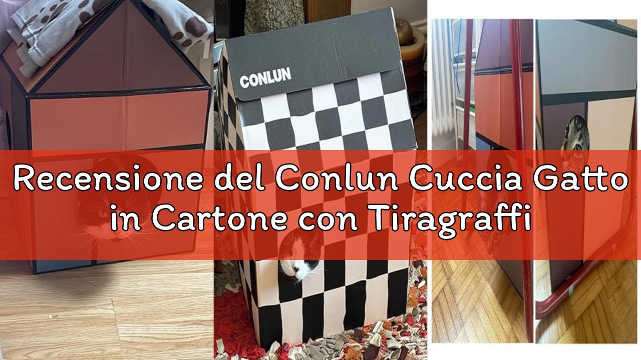 Recensione del Conlun Cuccia Gatto in Cartone con Tiragraffi per Gatti & Catnip, Casa per Gatti in C
