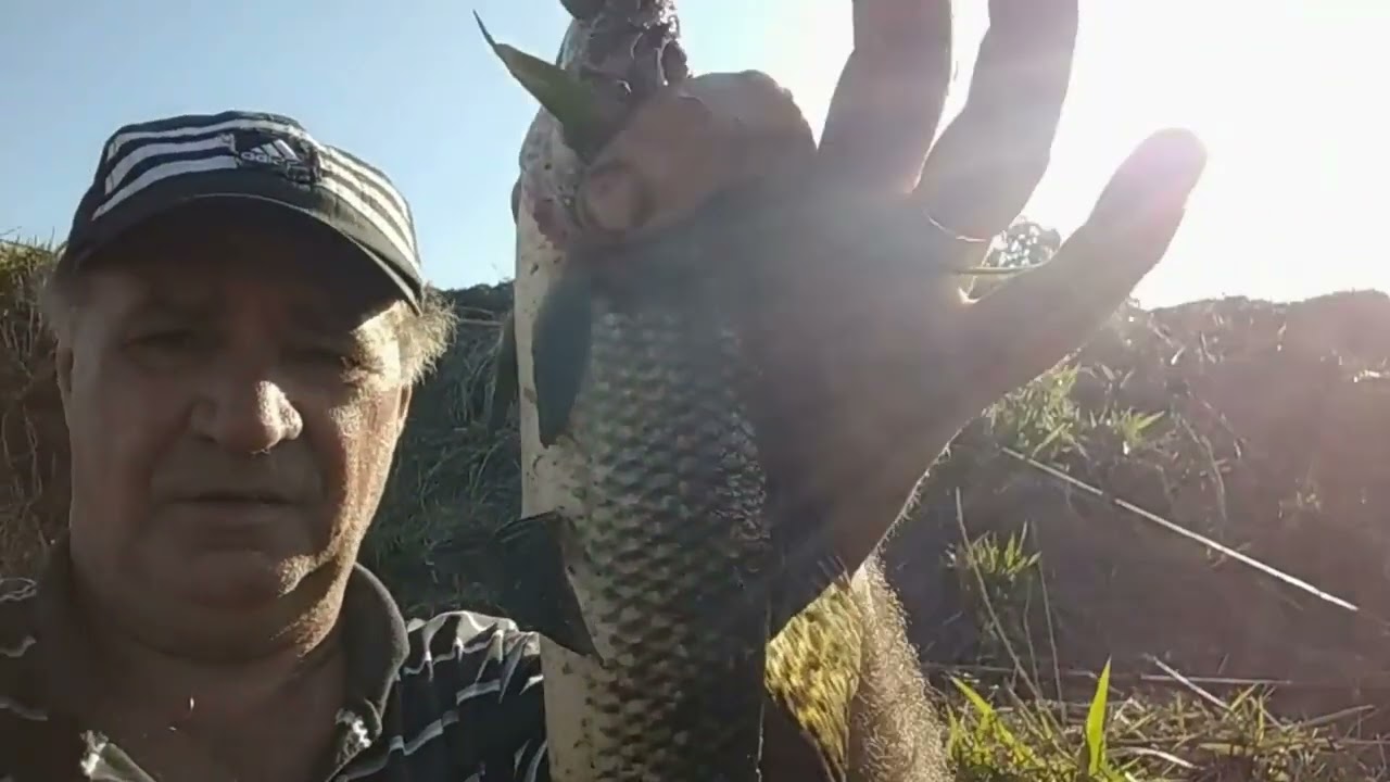 Bons momentos de pescarias passadas 