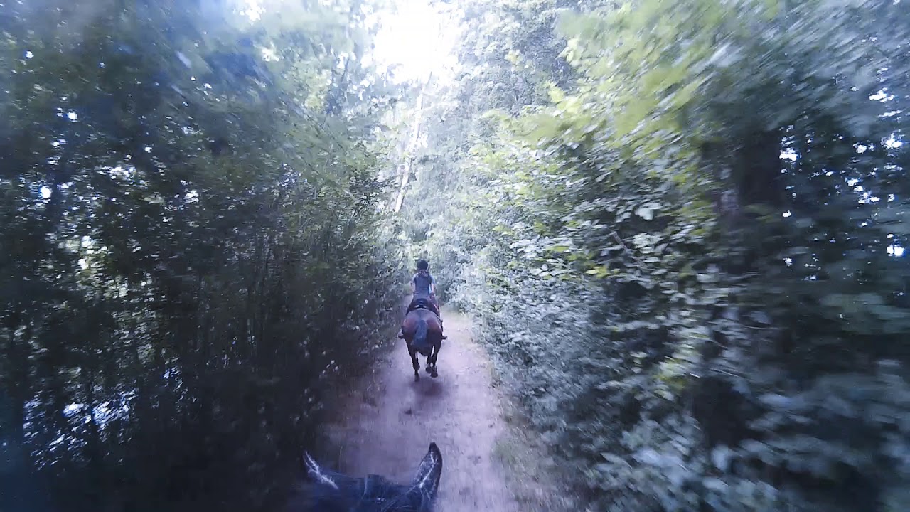 Manege 't Hoogt - Buitenrit juni 2018