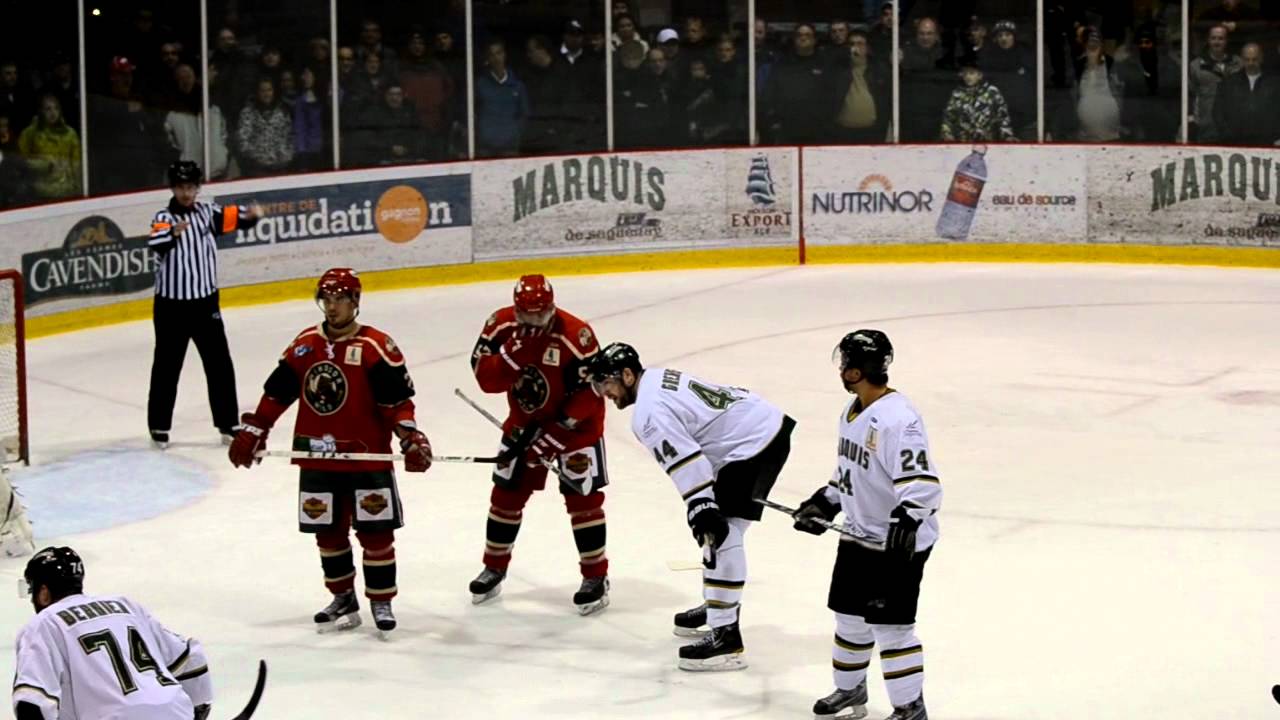 Fin de match / End of game Saguenay - Windsor, LNAH, 06-01-12