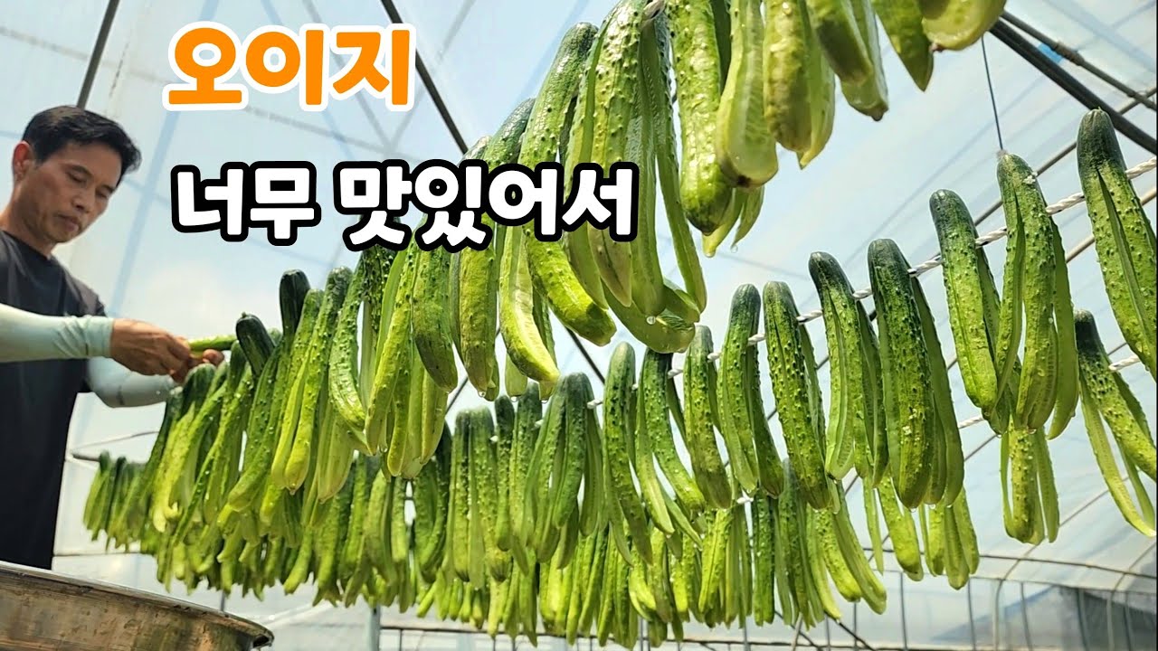 Вкус кимчи из огурцов, который можно есть и он никогда не надоест.