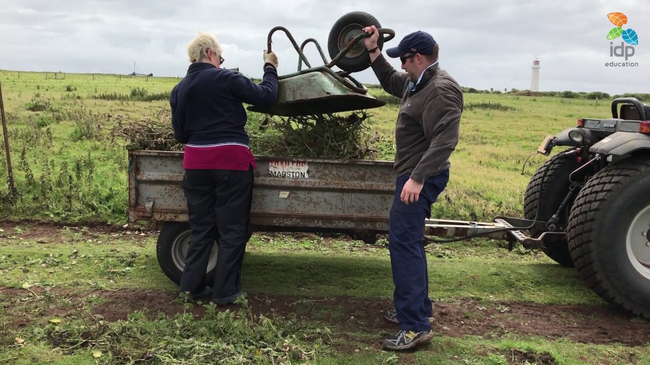 Flat Holm Video