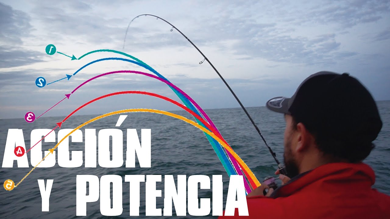 Cómo elegir una caña de PESCAR: POTENCIA Y ACCIÓN PARA EL EGING