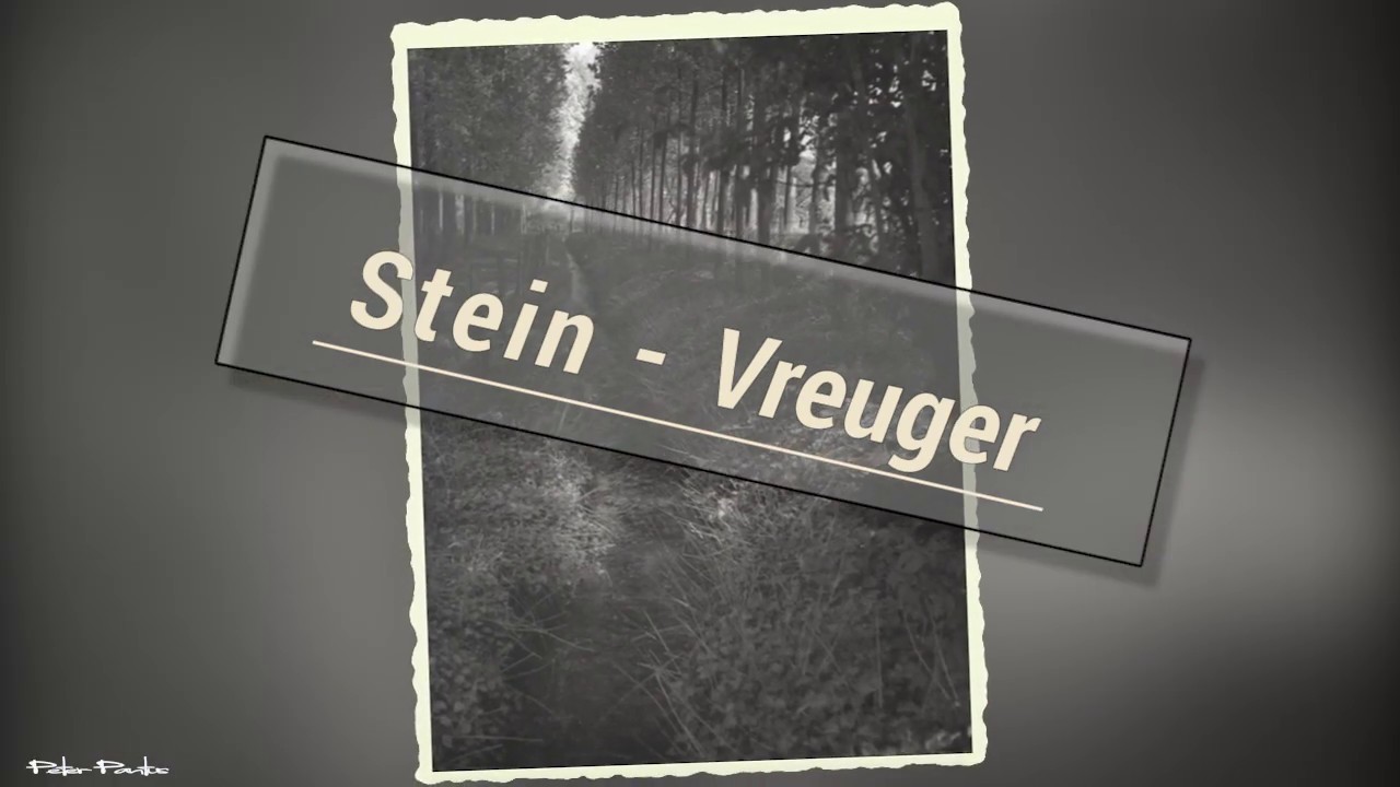Stein  in Vreuger tied