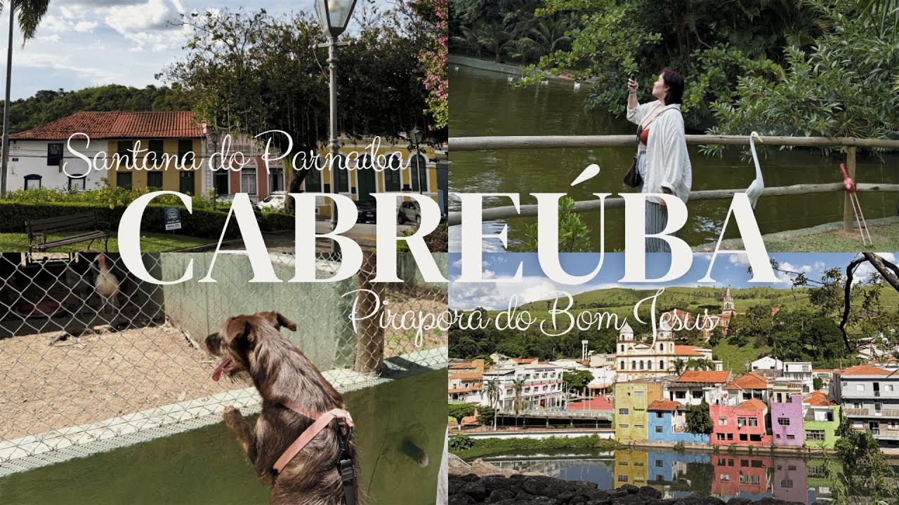 CABREÚVA | maria foi na piscina na reserva, pirapora do bom jesus, santana do parnaíba 🐶 | Thaaizzy