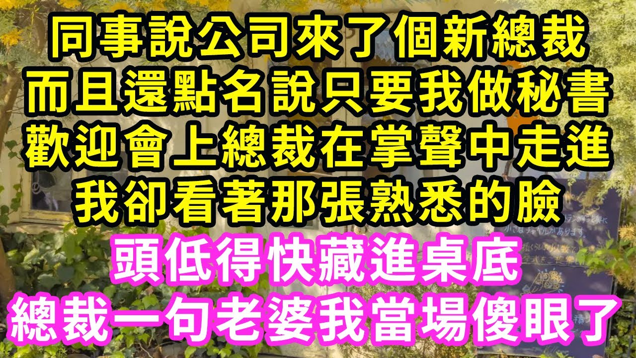 同事說公司來了個新總裁，而且還點名說只要我做秘書，歡迎會上總裁在掌聲中走進，我卻看著那張熟悉的臉，頭低得快藏進桌底，總裁一句老婆我當場傻眼了#甜寵#灰姑娘#霸道總裁#愛情#婚姻#小嫻說故事#暖風故事匯