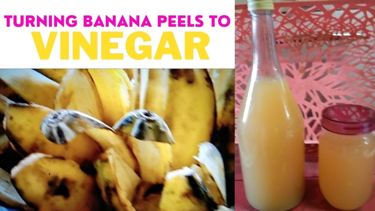 Turning Banana Peels into VINEGAR