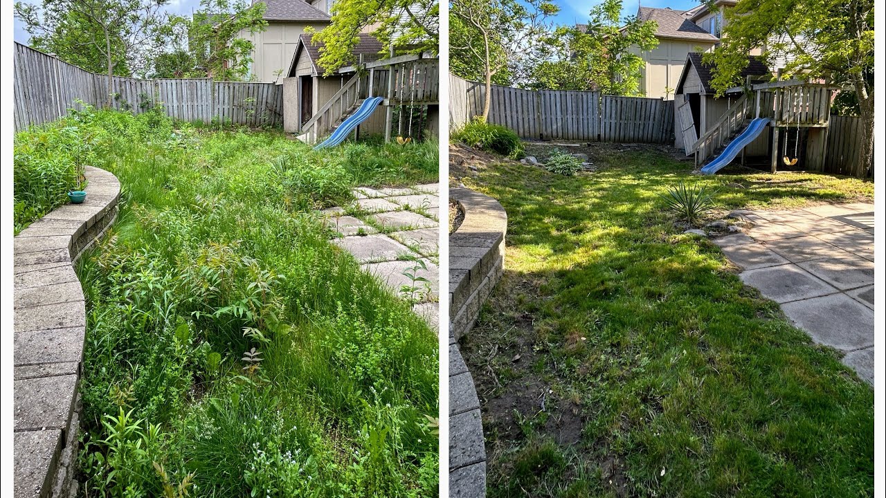 OVERGROWN PROPERTY CLEANUP TIMELAPSE! NEW SUMMER 2024