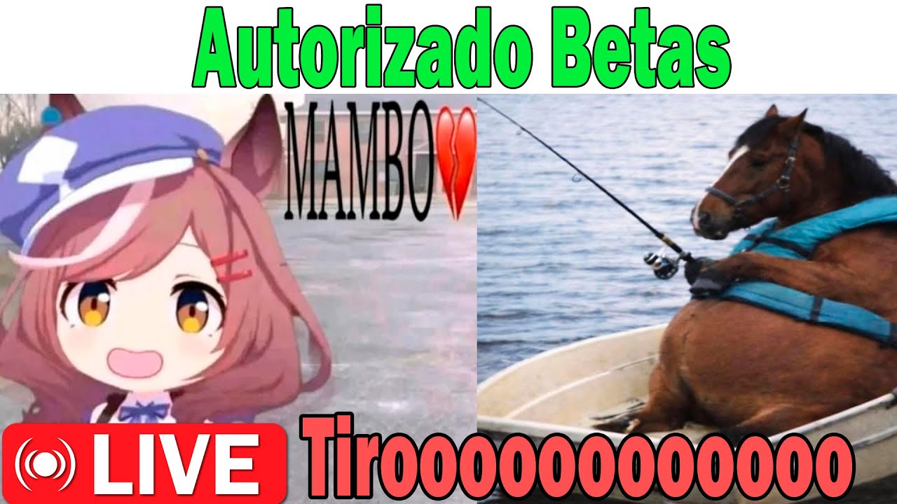 Mambo AUlas || Mambo LIVE