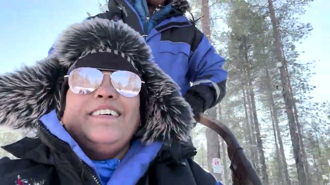 Kakslauttanen Arctic Resort #4 - Husky Safari  #viral #viralvideo #christmas