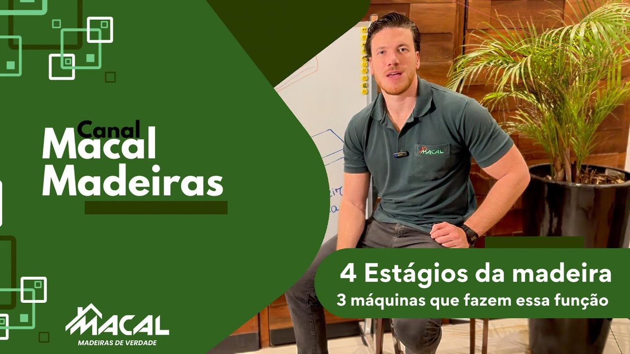 Da árvore ao Produto: Os 4 Processos da Madeira e Suas Máquinas