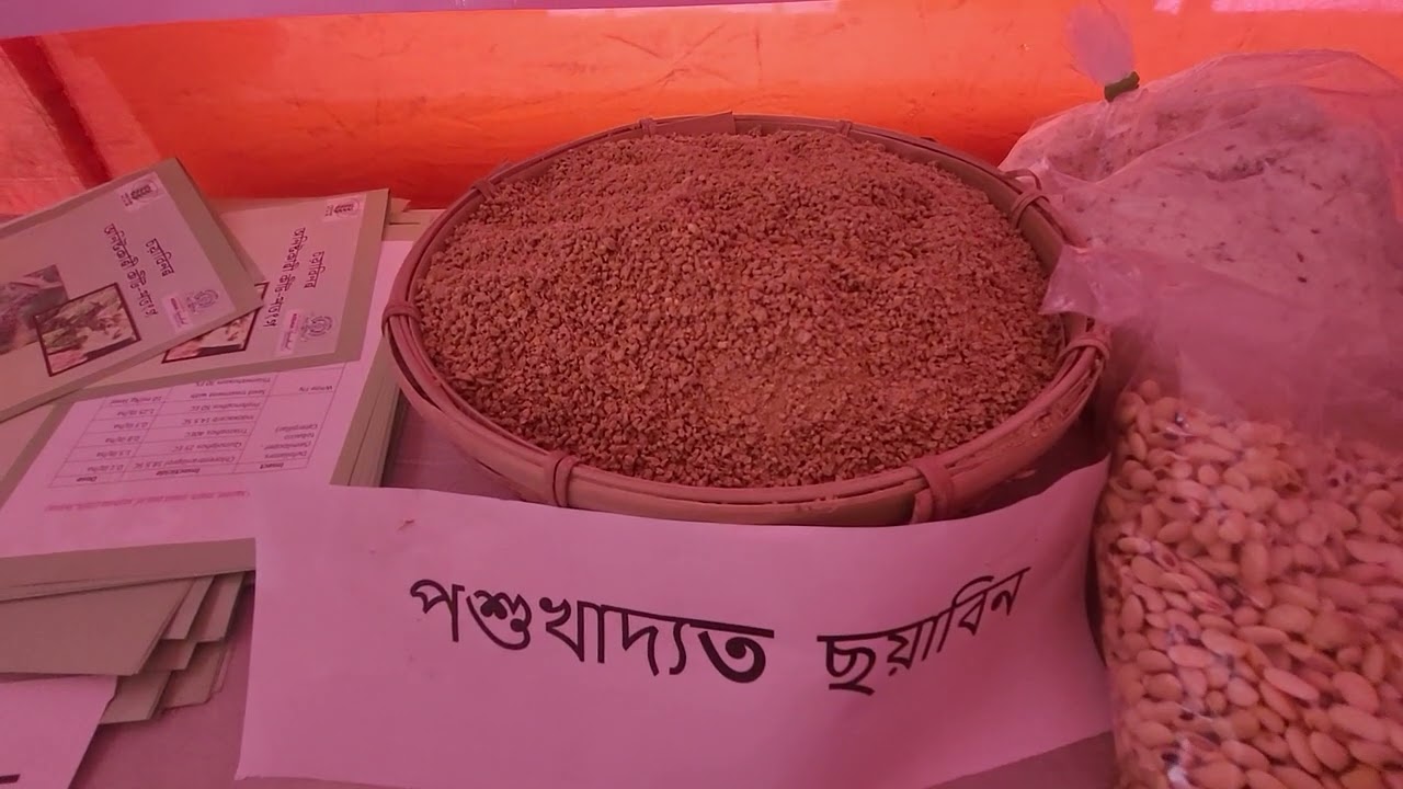Soybean  exhibition  for Popularization  in Assam 