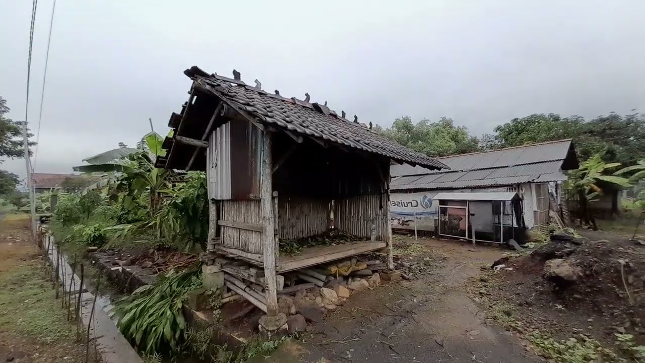 Walking in the village @Tari Luhur