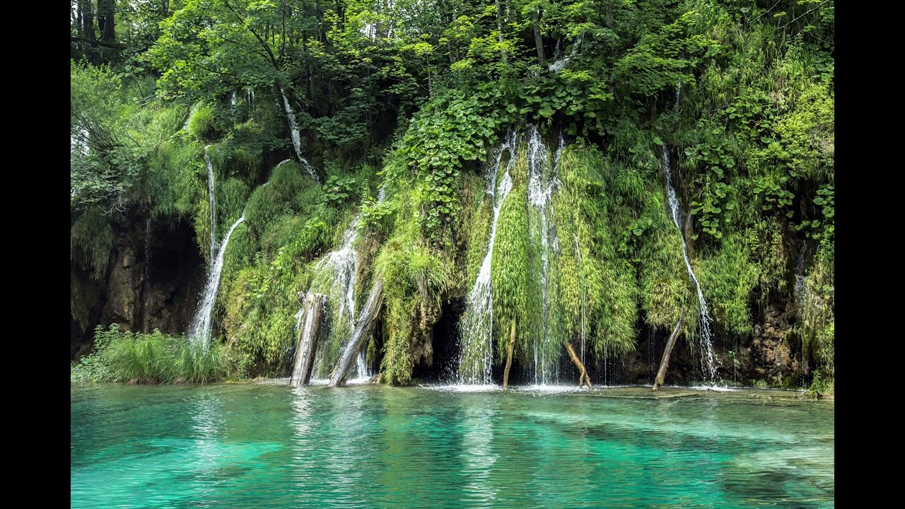Rainforest | Deep sea adventure | Sounds to fall asleep, relax focus, or decompress to | 40 Minutes