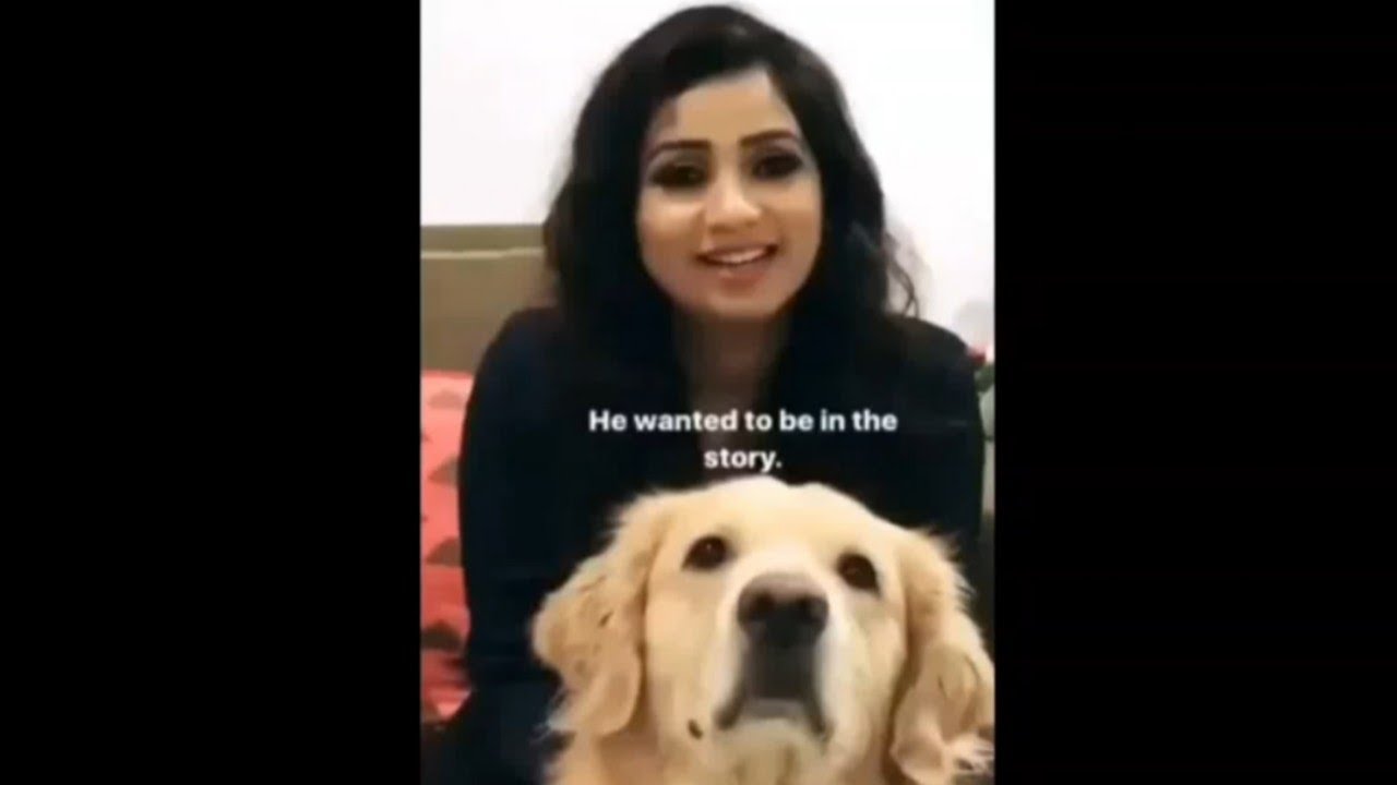 Shreya Ghoshal With Her Dog Singing | Sherlock | Shreya Ghoshal Singing With Her Dog HaHaHaHa | Cute