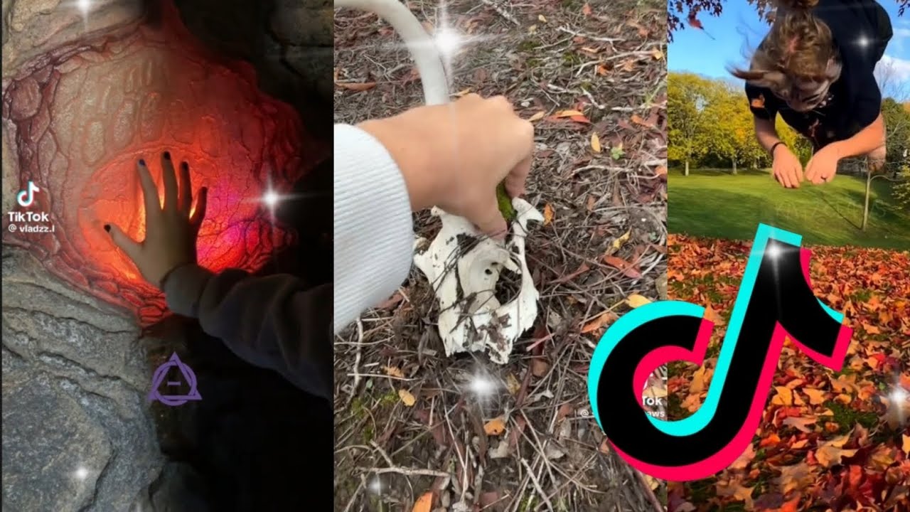 Therian/quadrobics tiktok compilation! 1#
