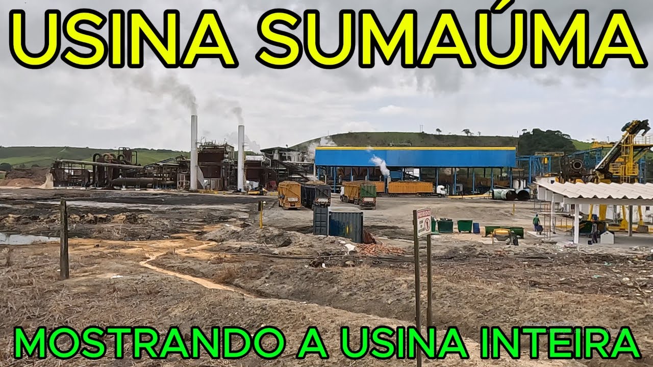 USINA SUMAÚMA | INÍCIO DA SAFRA 25/26 | Marechal Deodoro - AL | 4K UHD
