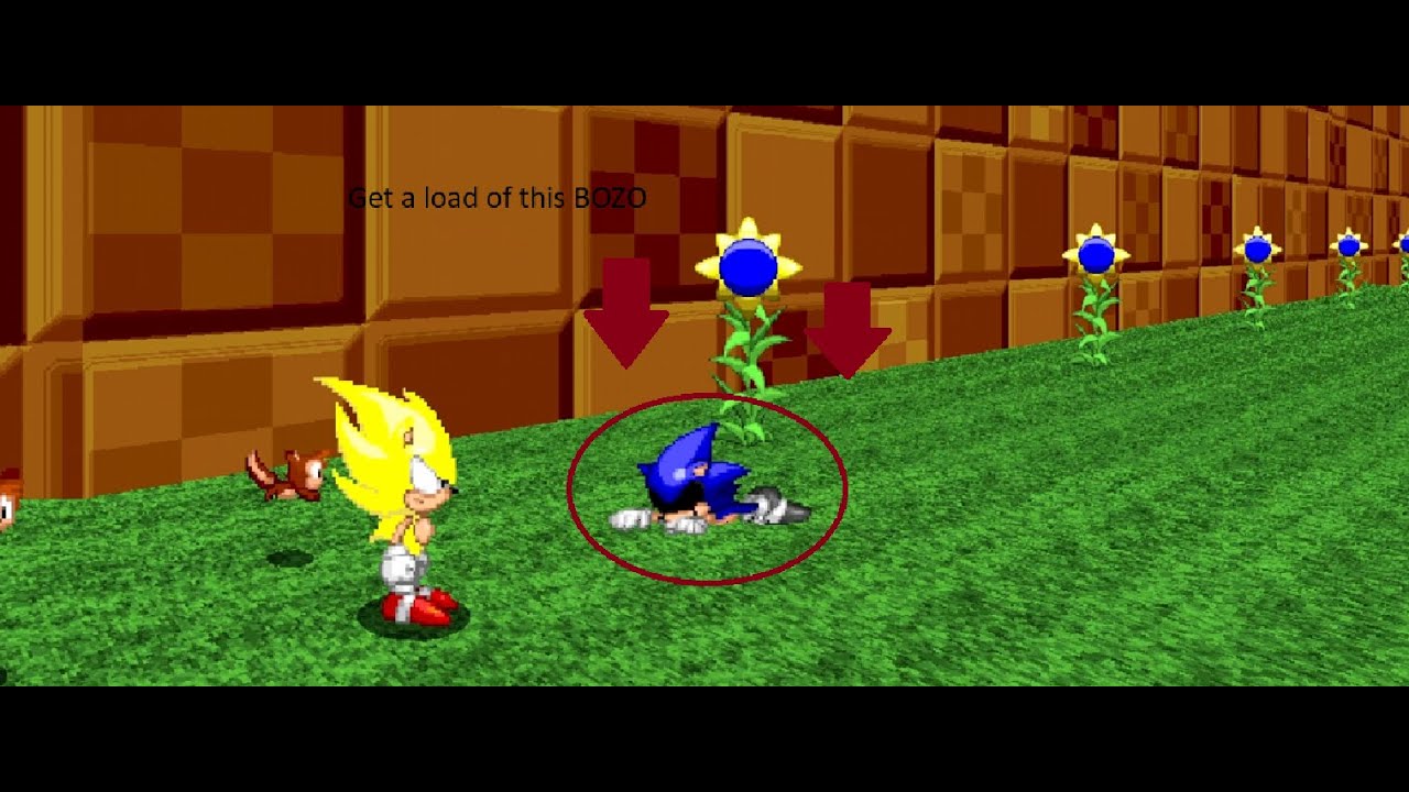 A Super Sonic Hero vs 2011x in Sonic Robo Blast 2!