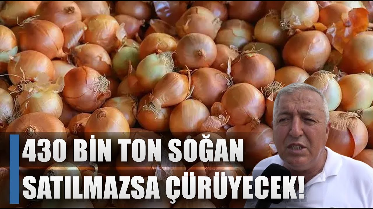 Soğan Rekoltesi Güldürdü Tarla Fiyatı Düşündürdü! Satılmazsa Çürüyecek / AGRO TV HABER