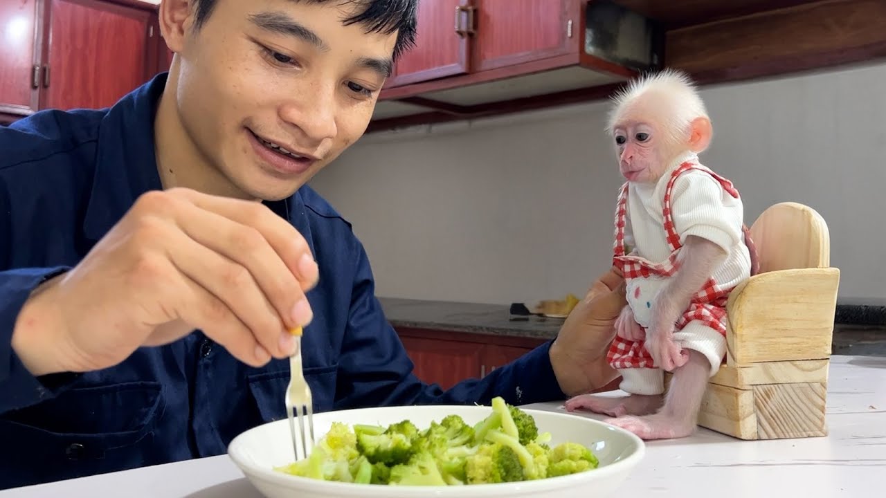 Какой сюрприз! Может ли детёныш обезьяны Зика есть эту новую еду?