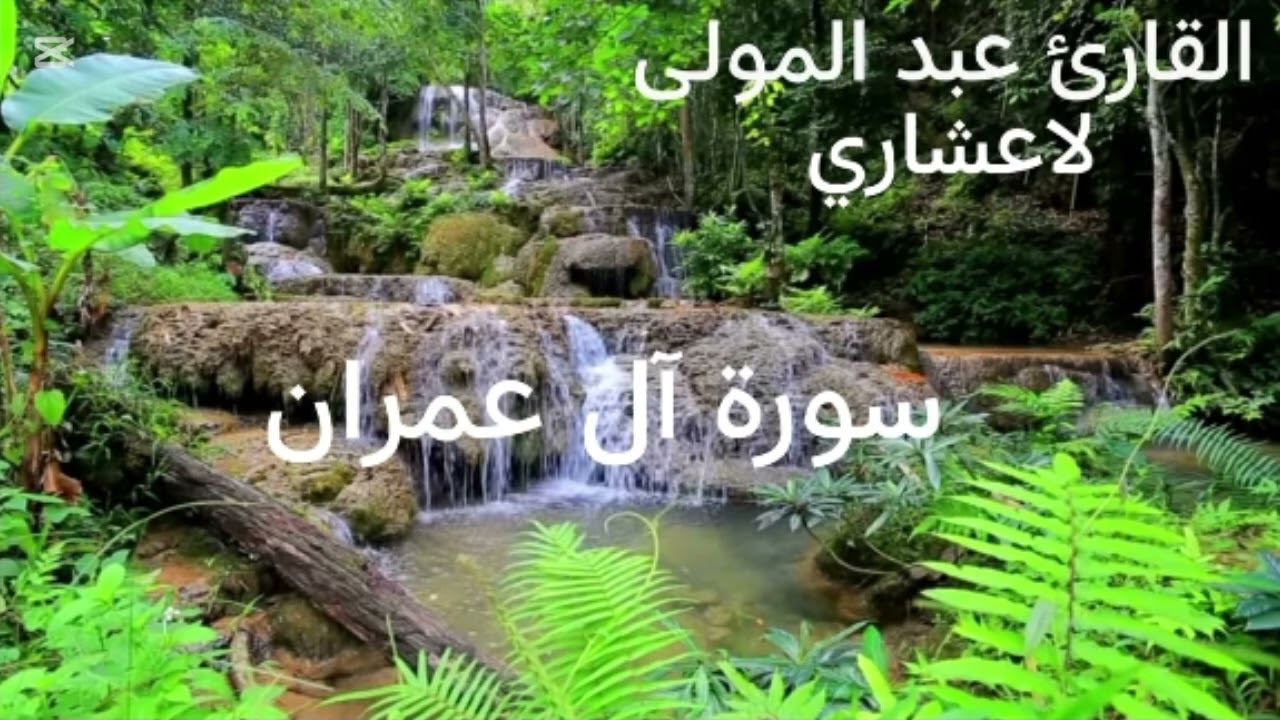 سورة آل عمران (الحزب السابع) القارئ عبد المولى لاعشاري 