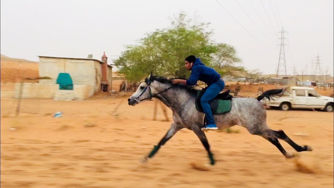 شرح عن الفتح (Gallop)  والركائز فيه وأيضا الفتح مع المنعطفات القوية