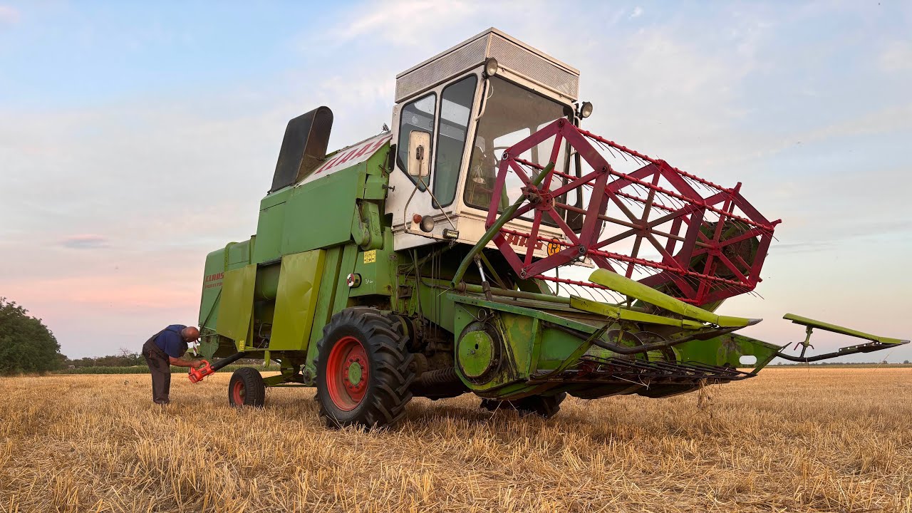 Búza betakarítás 2. rész #claas #farming #hungary