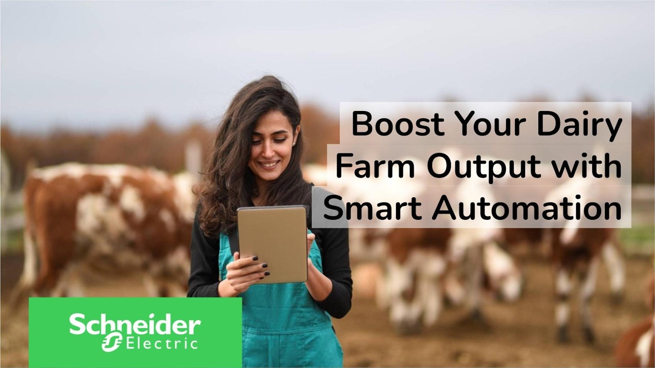 Daisy Cow Farm CPG - HM2025 | Schneider Electric