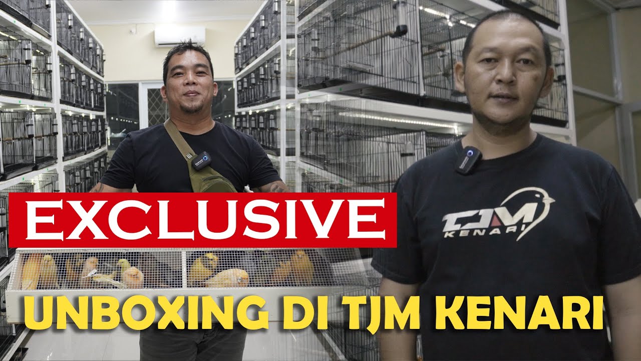 EXCLUSIVE !!! LIPUTAN UNBOXING YS AKHIR TAHUN 2022 DI TJM KENARI