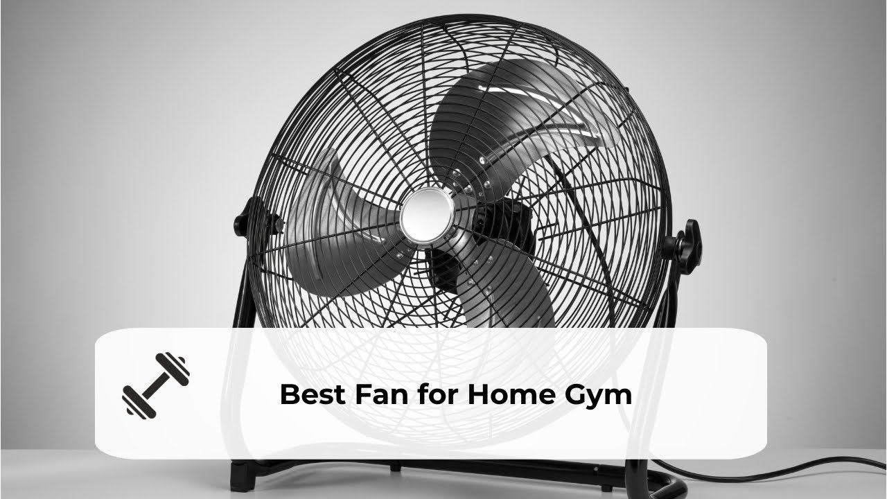 Best Fan for Home Gym  Reviews and What to Look For?
