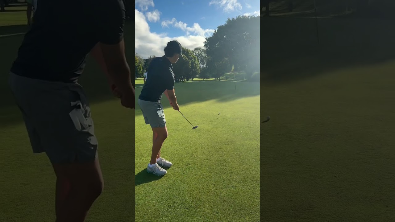 WiniPlaysGolf 