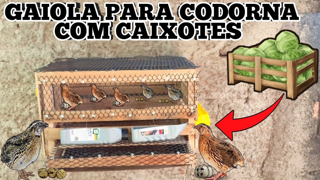 FAZENDO CASINHA PARA CODORNAS COM CAIXOTES DE MADEIRA !
